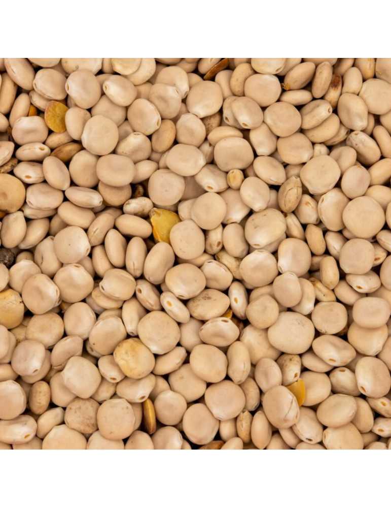 Amorce Lupin Poseidon Particles 5L – natusport