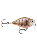 Leurre Dur Rapala X-Light Crank 03 Pupu – natusport