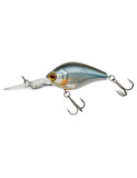Leurre Dur Illex Raiju 45 F Roach Tendance Flottant – natusport