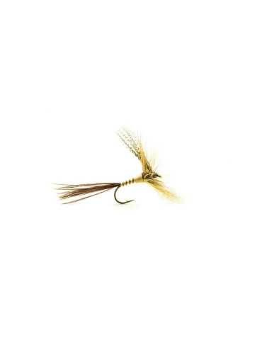 Seche C606 H12 Bl