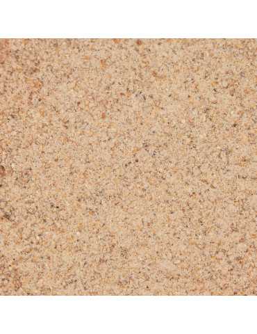 Amorce Farine de Nuts Poseidon Particles
