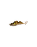 Leurre Souple Sico Lure Blenny Shad 95 18g Ayu – natusport