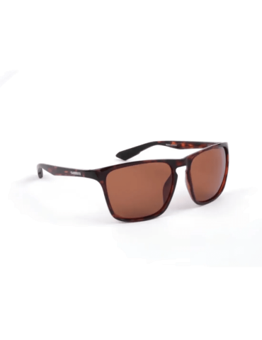 Lunettes de Soleil Shimano Technium Tortoiseshell / Copper – natusport