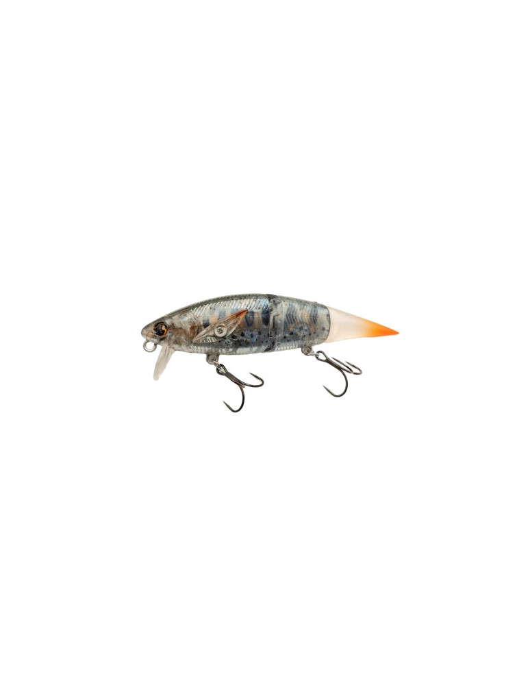 Leurre Dur Madotachi Hanitas LR 12 cm Clear Amago – natusport