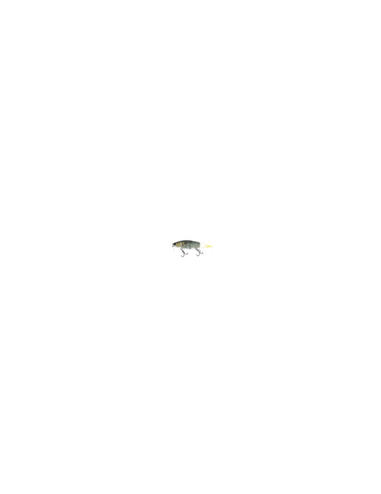 Leurre Dur Madotachi Hanitas LR 12 cm Clear Wakasagi – natusport