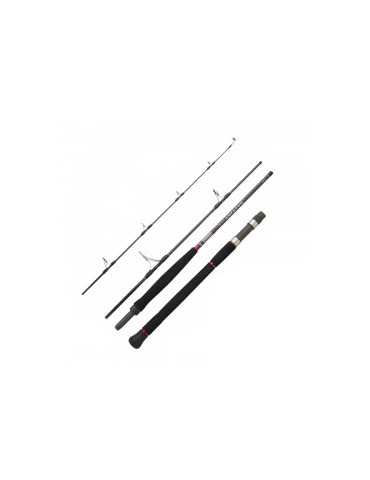 Canne de voyage Daiwa Saltist Travel 2,21m
