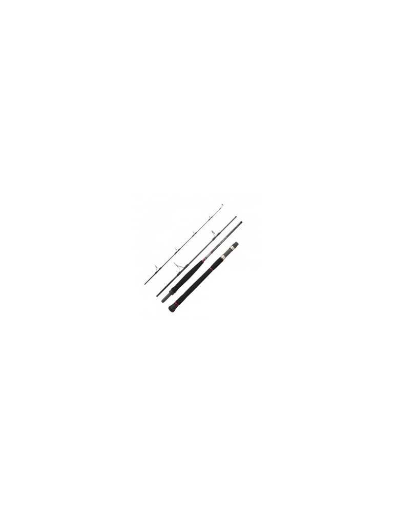 Canne de voyage Daiwa Saltist Travel 2,21m