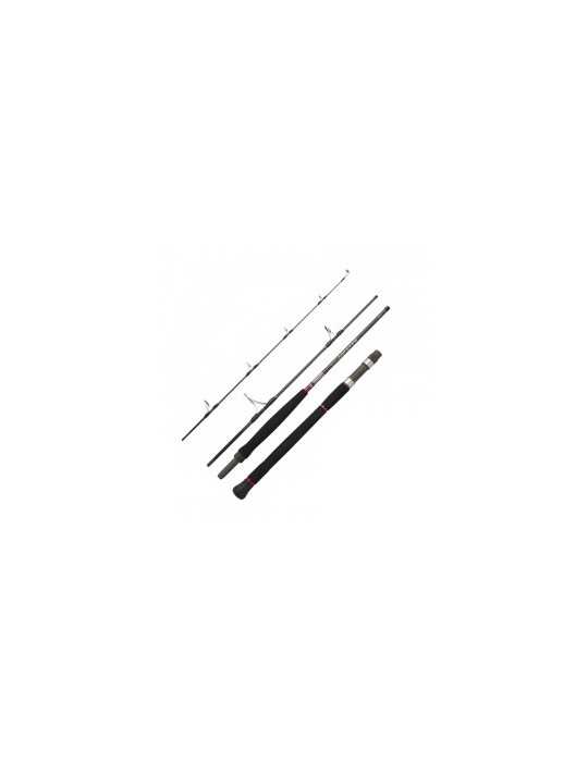 Canne de voyage Daiwa Saltist Travel 2,21m