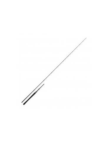 Canne Daiwa Exceler 60-120g 2,29m
