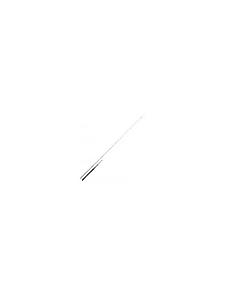 Canne Daiwa Exceler 60-120g 2,29m