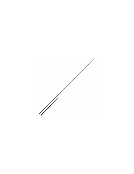 Canne Daiwa Exceler 60-120g 2,29m