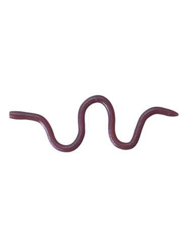 Leurre Souple O.S.P Mimizu Small W050 – natusport