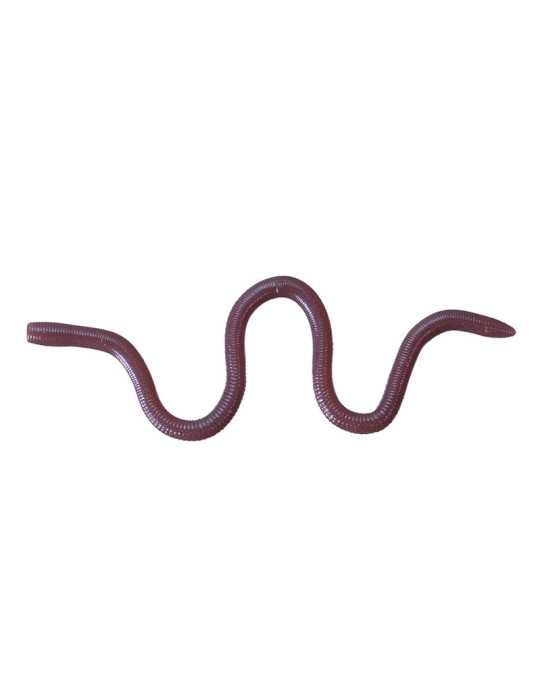 Leurre Souple O.S.P Mimizu Small W050 – natusport