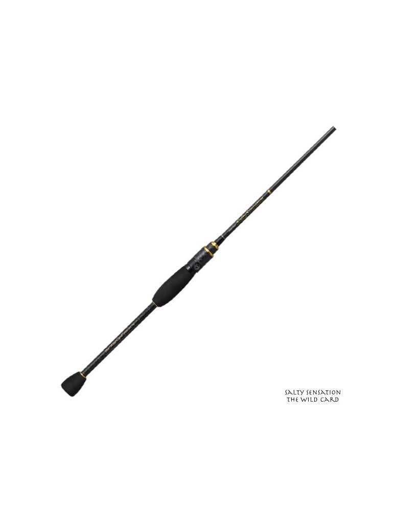 Canne Spinning Evergreen Poseidon Salty Sensation 76 T 0,2-10g 2,30m | – natusport