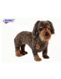 Peluche Teckel Poil Dur Debout - Hansa Creation