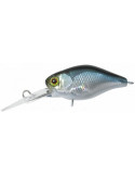 Leurre Dur Illex Diving Chubby 38 Ablette – natusport