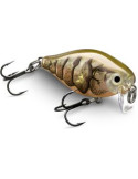 Leurre Dur Rapala X-Light Crank 03 Pupu – natusport