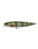 Leurre Dur Illex Chubby Pencil 55 RT Perch – natusport