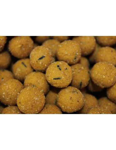 Bouillette Pro Elite Baits Gold Sweet Dreams 14 mm – natusport