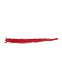 Leurre Souple Berkley Gulp! Saltwater Fat Sandworm 4" Natural | Natusp – natusport