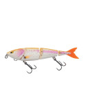 Leurre Dur Berkley Zilla Swimmer 120 WC