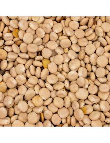 Amorce Lupin Poseidon Particles 5L – natusport