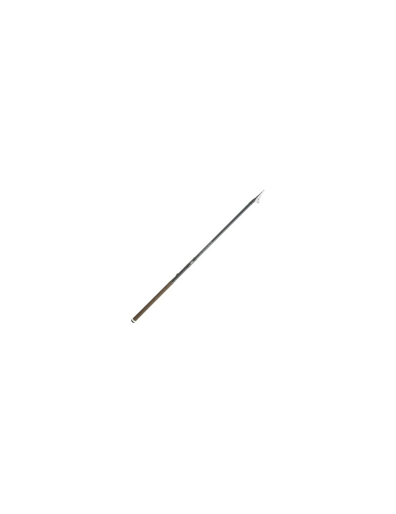 Canne Daiwa Ninja Trout 430 TE 4,30m 5-25g