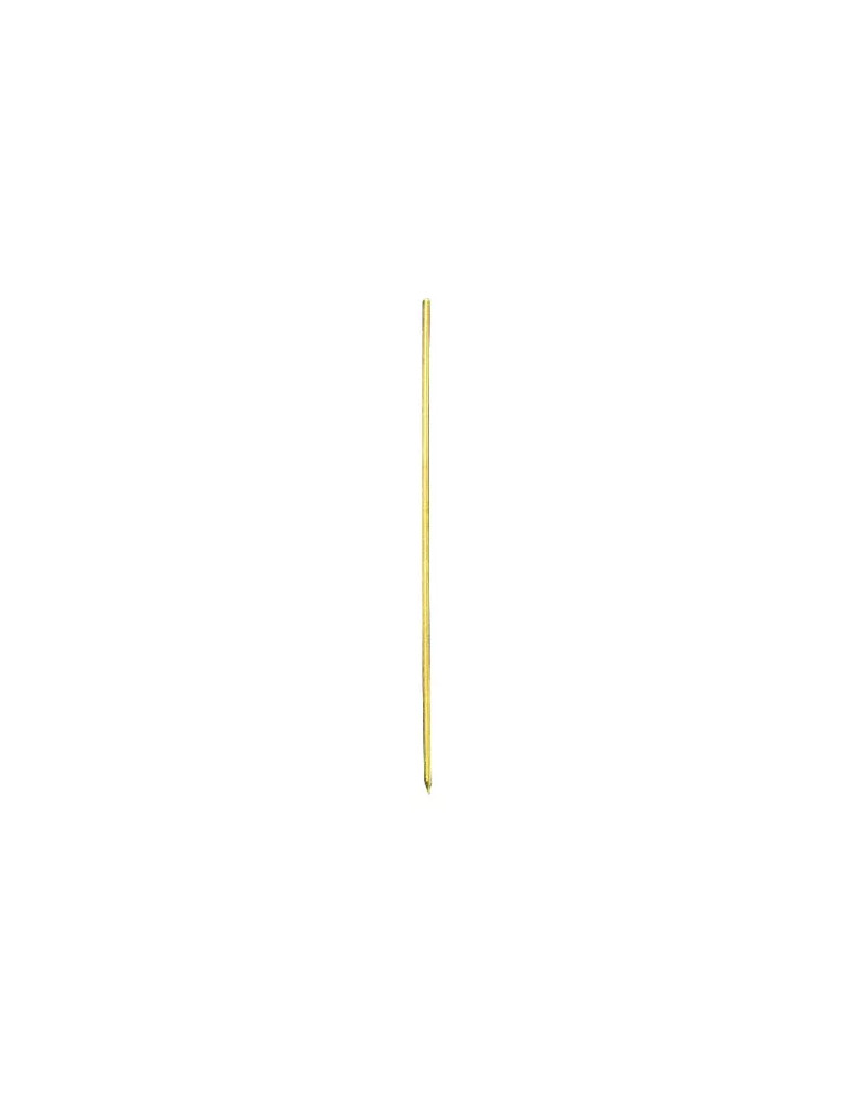 Aiguille à Ver Laiton 15 cm Water Queen X2 – natusport