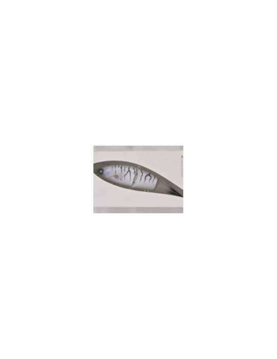 Leurre Dur Madotachi Hanitas LR 12 cm - 2 coloris | Natusport