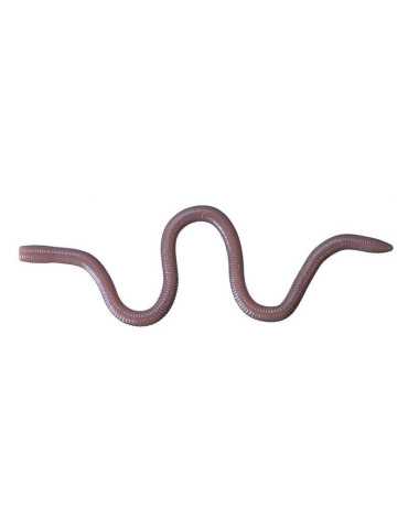 Leurre Souple O.S.P Mimizu Small Isomen TW203 – natusport