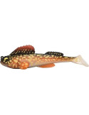 Leurre Souple Megabass Dark Sleeper 4.5 Corlazo – natusport