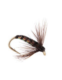 Mouche Devaux Noyée JBNO11 H12