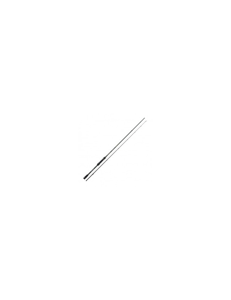 Canne Casting Hearty Rise Evolution III 2,06m 7-28g – natusport
