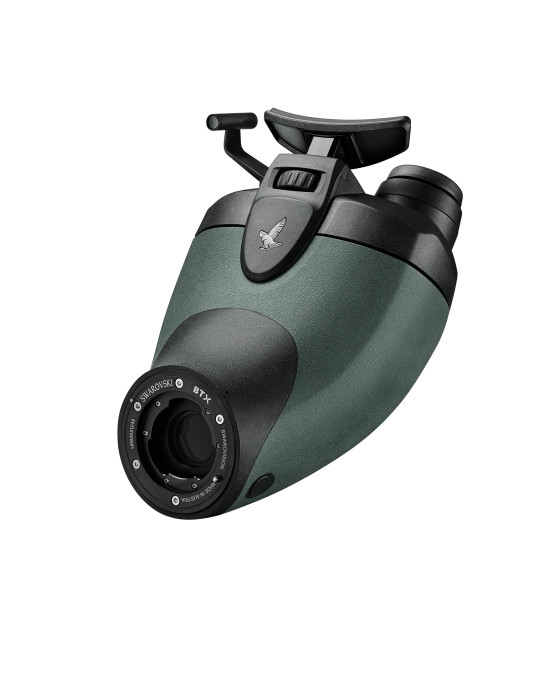 Module oculaire Swarovski BTX à Vision Binoculaire Module Objectif non inclus