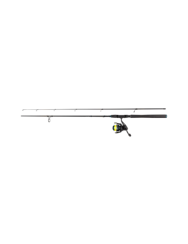 Ensemble canne moulinet Daiwa Strikeforce