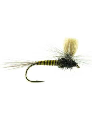 Parachute P 07 H14 Bl