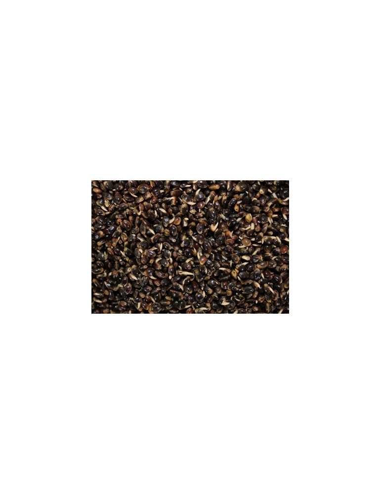 Graine Pro Elite Baits Chènevis Cuit 4 kg – natusport
