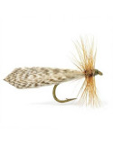 Mouche sèche Sedge 426 H14 Devaux