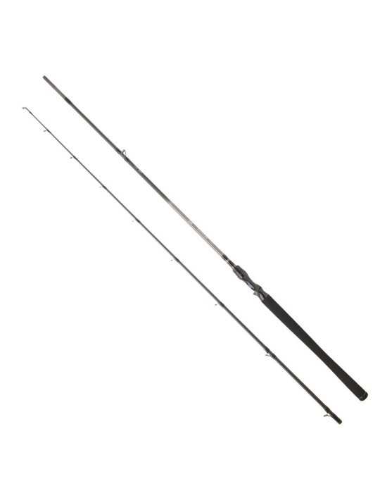 Canne Casting Daiwa Exceler 682 HFB 2,03 m 14-42 g