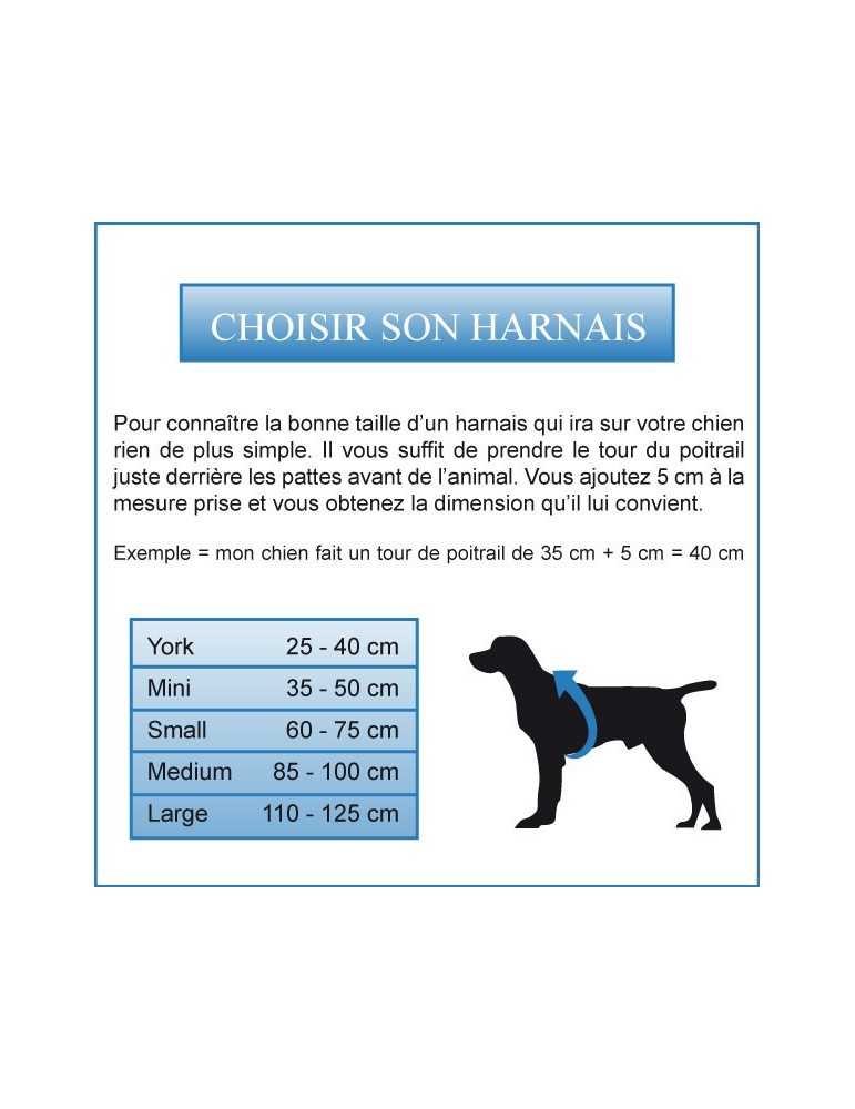 Harnais classique Girafe pour chien