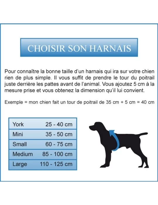 Harnais classique Girafe pour chien