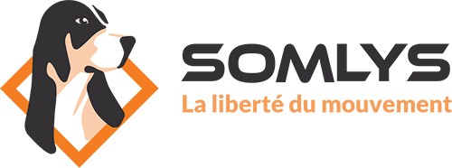 Marque Somlys