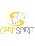 Carp Spirit