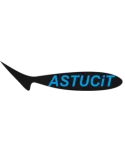 Astucit