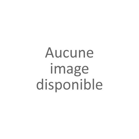 Viseur point rouge Aimpoint CRO