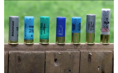 Cartouche calibre 12 très longue portée : Quelles sont les meilleures options ?