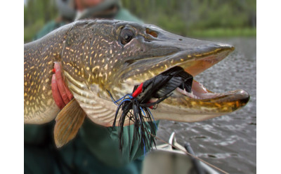 Leurre pour le brochet : les meilleurs modèles selon saison et technique